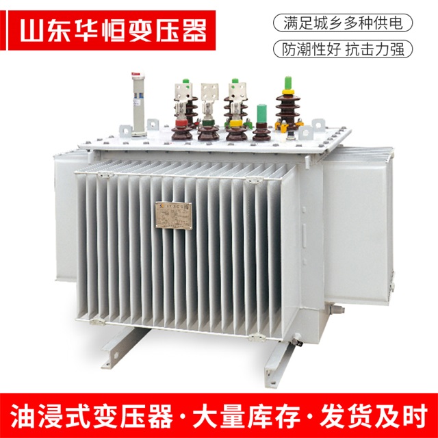 S13-10000/35永胜永胜永胜电力变压器